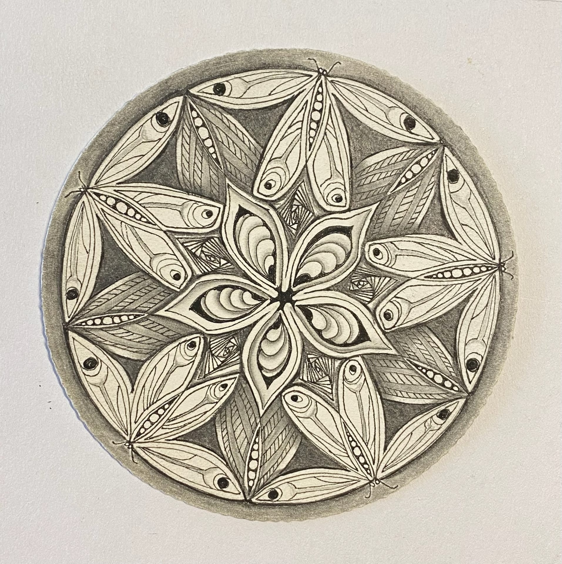 Moths and Moths, Zendolla, 11.5 cm