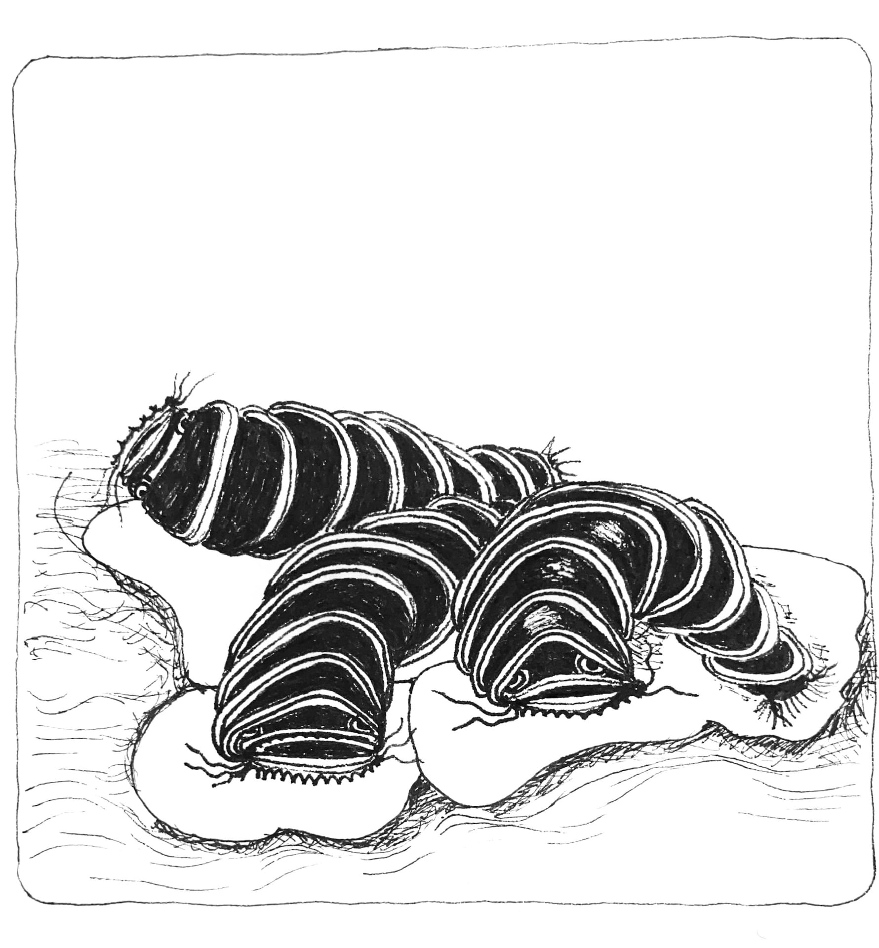 Zenseals, Tile, 9x9 cm